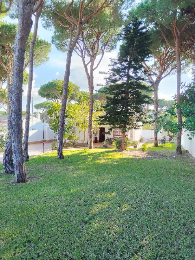 Con Piscina A 800m De La Playa By Chiclana Dreams Holiday home *