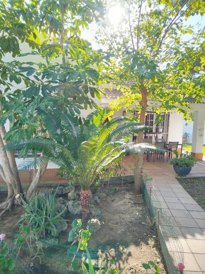 Holiday home Con Piscina A 800m De La Playa By Chiclana Dreams Chiclana de la Frontera