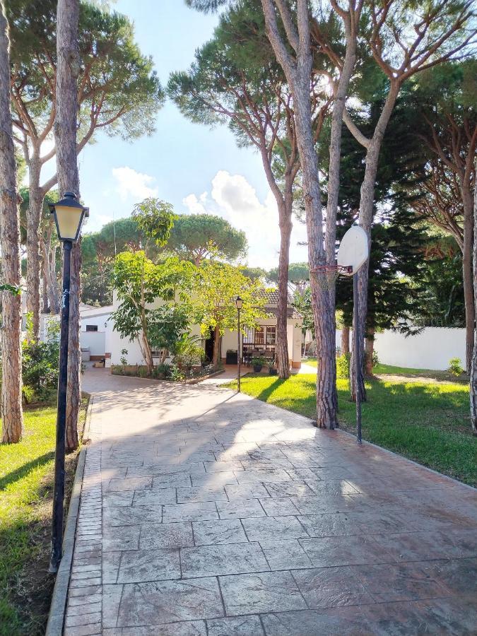 Holiday home Con Piscina A 800m De La Playa By Chiclana Dreams Chiclana de la Frontera