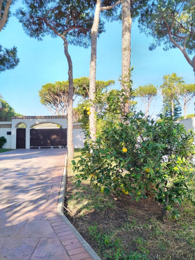 Con Piscina A 800m De La Playa By Chiclana Dreams Holiday home Chiclana de la Frontera